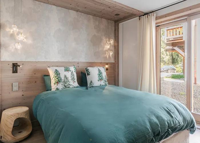 Rochebrune - De Luxe 公寓 梅杰夫