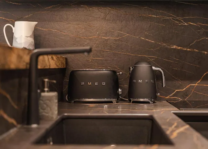 Rochebrune - De Luxe 公寓